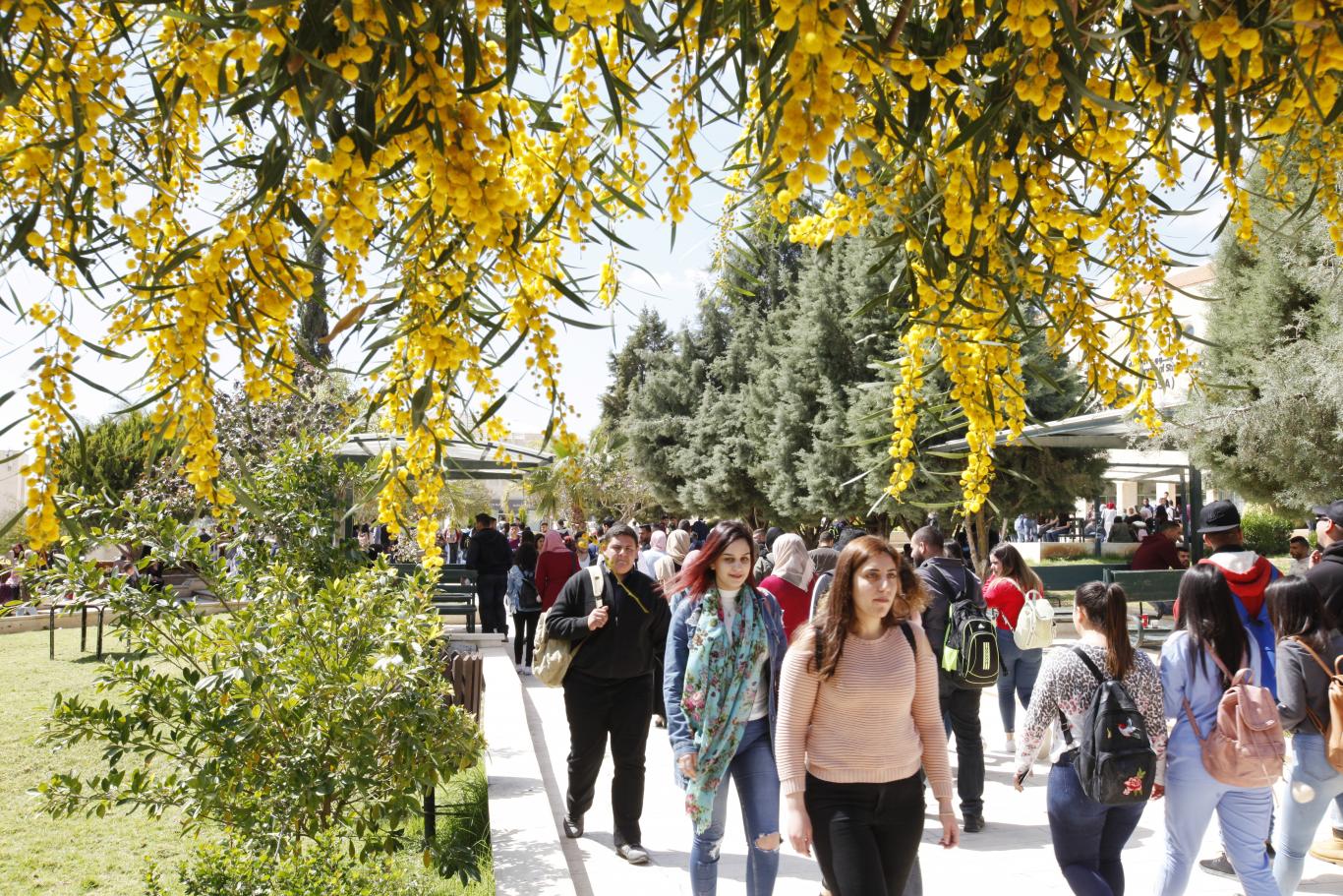 The beginning of spring season at the university