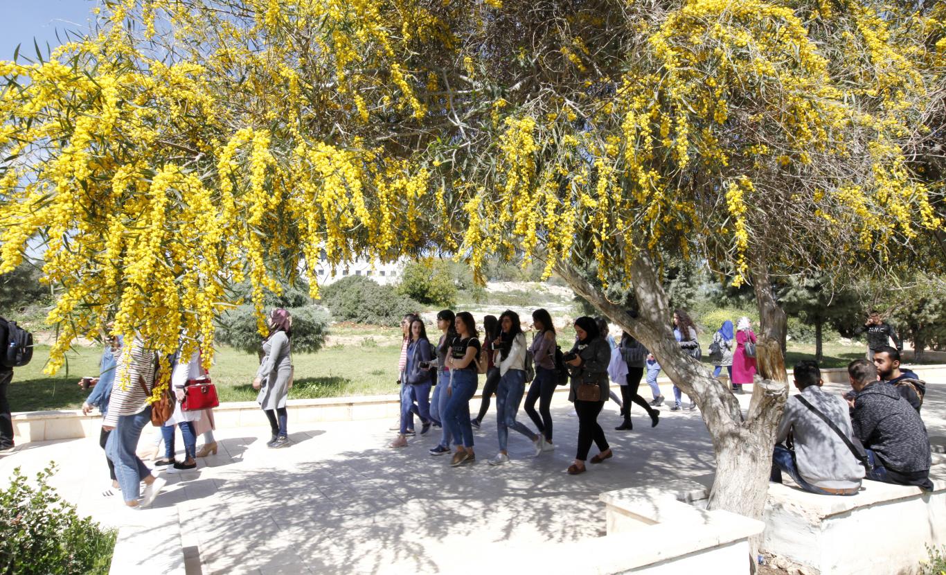 The beginning of spring season at the university