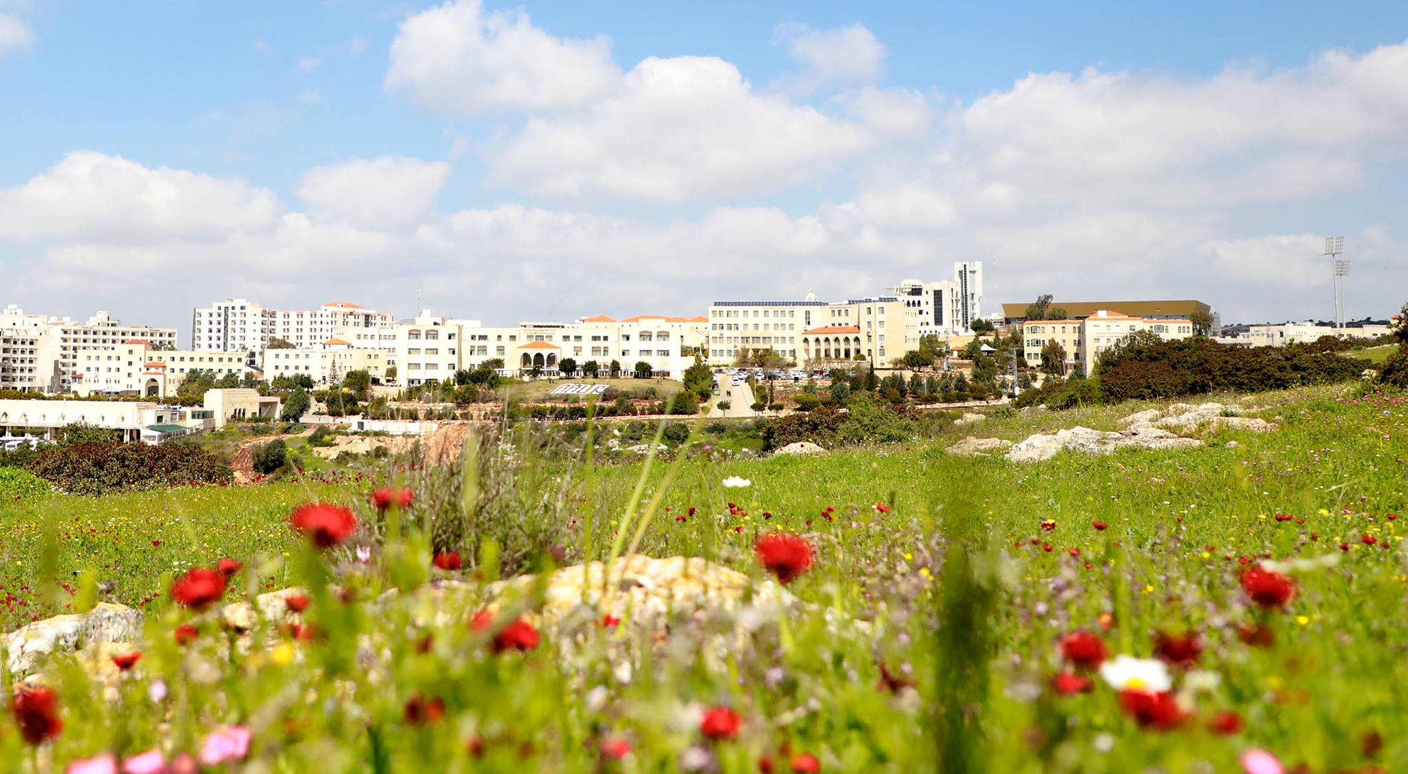 Spring at the University 