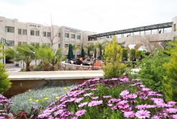 Faculty of Allied Medical Sciences 