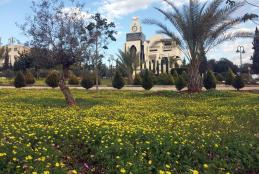 Spring flowers at the university - stunning nature