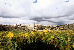 A general view of the University from Talfeet