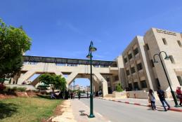 Faculty of Allied Medical Sciences Bridge