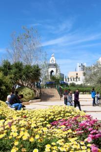 فصل الربيع في الجامعة