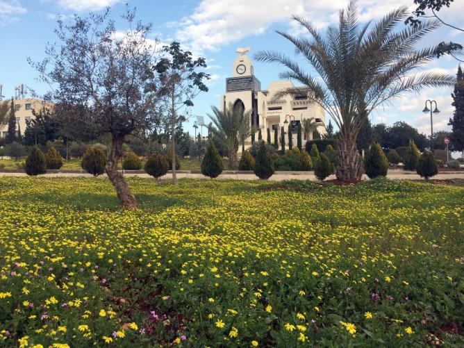 Spring flowers at the university - stunning nature