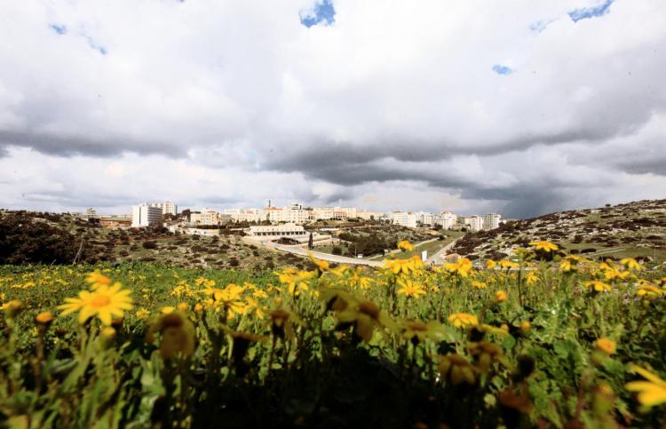 A general view of the University from Talfeet